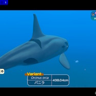 潜る度に違う表情を見せるベールド海…『フォーエバーブルー ルミナス』で海洋生物と触れ合って、一期一会のダイバーと泳ぐ【プレイレポ】