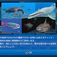 潜る度に違う表情を見せるベールド海…『フォーエバーブルー ルミナス』で海洋生物と触れ合って、一期一会のダイバーと泳ぐ【プレイレポ】