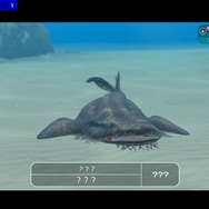 潜る度に違う表情を見せるベールド海…『フォーエバーブルー ルミナス』で海洋生物と触れ合って、一期一会のダイバーと泳ぐ【プレイレポ】