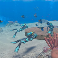 潜る度に違う表情を見せるベールド海…『フォーエバーブルー ルミナス』で海洋生物と触れ合って、一期一会のダイバーと泳ぐ【プレイレポ】