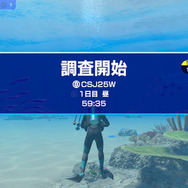 潜る度に違う表情を見せるベールド海…『フォーエバーブルー ルミナス』で海洋生物と触れ合って、一期一会のダイバーと泳ぐ【プレイレポ】