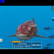 潜る度に違う表情を見せるベールド海…『フォーエバーブルー ルミナス』で海洋生物と触れ合って、一期一会のダイバーと泳ぐ【プレイレポ】