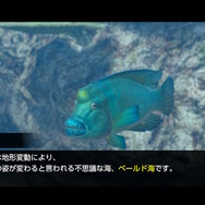 潜る度に違う表情を見せるベールド海…『フォーエバーブルー ルミナス』で海洋生物と触れ合って、一期一会のダイバーと泳ぐ【プレイレポ】