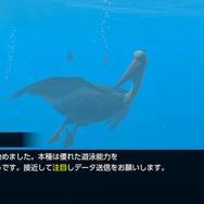 潜る度に違う表情を見せるベールド海…『フォーエバーブルー ルミナス』で海洋生物と触れ合って、一期一会のダイバーと泳ぐ【プレイレポ】