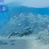潜る度に違う表情を見せるベールド海…『フォーエバーブルー ルミナス』で海洋生物と触れ合って、一期一会のダイバーと泳ぐ【プレイレポ】