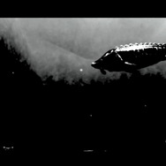 潜る度に違う表情を見せるベールド海…『フォーエバーブルー ルミナス』で海洋生物と触れ合って、一期一会のダイバーと泳ぐ【プレイレポ】