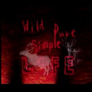伝説の原始生活ゲー『太陽のしっぽ』新サントラ発表記念！不思議で心地よい「世紀の奇ゲー」の魅力【特集】