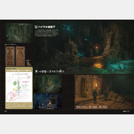 Amazon.co.jp: ゼルダの伝説 ティアーズ オブ ザ キングダム