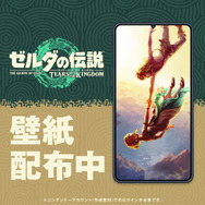 あれから1年…『ゼルダの伝説 ティアキン』リンクはゼルダ姫の手を繋げたか?記念イラストに隠された、激エモなシチュエーション