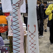 サークル／Veronica（X：@ver0n1ca2）