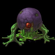 Wizardry ～忘却の遺産～