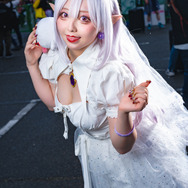 キングテレサ姫『スーパーマリオ』／しらとり らむね（X：@Siratori3212）