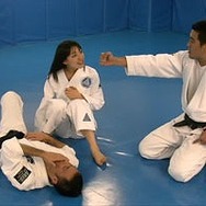 セイバー＝グレイシー柔術？「Fate/EXTRAよくわかる動画」がニコニコ動画で公開