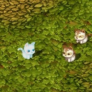 Copyright (c) Softmax Co.,Ltd.　All rights reserved. Copyright (c) Nexon Corporation and Nexon Japan Co.,Ltd. All rights reserved.