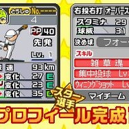 プロ野球 ファミスタDS 2010