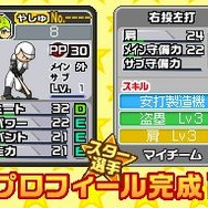 プロ野球 ファミスタDS 2010