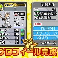 プロ野球 ファミスタDS 2010