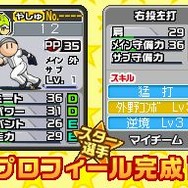 プロ野球 ファミスタDS 2010