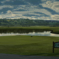 タイガー・ウッズ PGA TOUR 11(英語版)