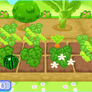 まめゴマ3 ~かわいいがいっぱい!~