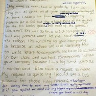 DSを欲しがる少女の手紙に任天堂が答える-「今回は特例」