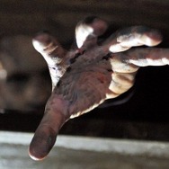 サバイバル・オブ・ザ・デッド