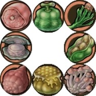 『モンスターファーム ラグーン』大型アップデート「嘆きの棲まう島」を実装!