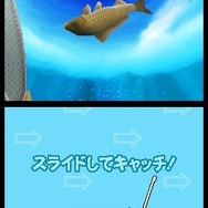 いつでも釣日和