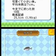 いつでも釣日和