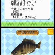 いつでも釣日和