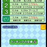 いつでも釣日和