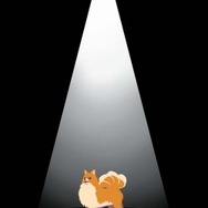 ゴースト トリック