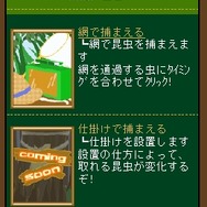 昆虫コロシアム