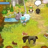 牧場物語 ふたごの村