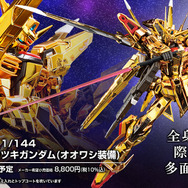 RG アカツキガンダム+HG ゼウスシルエット ガンプラ 全塗装 塗装済 完成品 新作ガンプラ「RG アカツキガンダム」の商品画像が眩しすぎる