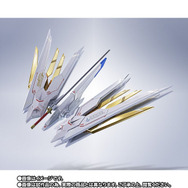 LROBOT魂ストライクフリーダムガンダム弐式 プラウドディフェンダー Amazon.co.jp: METAL ROBOT魂 ストライクフリーダムガンダム弐式