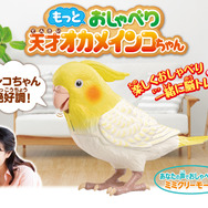 伝説の“天才インコちゃん”が、もっと賢くなって帰ってきた！2,300通り以上の日常会話や脳トレをひっさげ、6月15日（インコの日）に発売