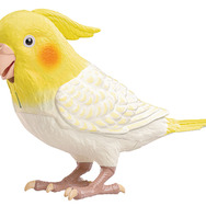 伝説の“天才インコちゃん”が、もっと賢くなって帰ってきた！2,300通り以上の日常会話や脳トレをひっさげ、6月15日（インコの日）に発売
