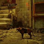 Steamで圧倒的に好評のSF猫アドベンチャー『Stray』スイッチ版が2024年冬発売予定【Nintendo Direct 2024.6.18】