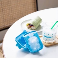 ピクミン ぬいぐるみポーチBOOK / 氷ピクミン 製氷機 ＆ コップ 完売した「氷ピクミン」製氷機&コップのムック本が書店にて再販
