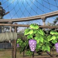 『FF14』で人気の“ローポリぶどう”、『黄金のレガシー』グラフィックスアップデートで少しだけ美味しそうになる