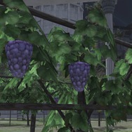 『FF14』で人気の“ローポリぶどう”、『黄金のレガシー』グラフィックスアップデートで少しだけ美味しそうになる