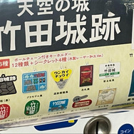実録！『アサクリ シャドウズ』映像を見た勢いで「福知山城」と周辺地域の“ここ出てほしい”城跡を探索してみた【大特集】