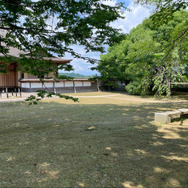 実録！『アサクリ シャドウズ』映像を見た勢いで「福知山城」と周辺地域の“ここ出てほしい”城跡を探索してみた【大特集】