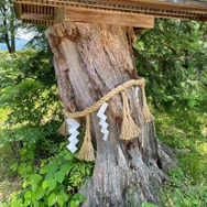 実録！『アサクリ シャドウズ』映像を見た勢いで「福知山城」と周辺地域の“ここ出てほしい”城跡を探索してみた【大特集】