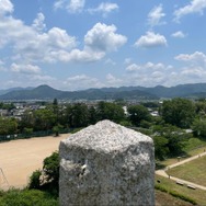 実録！『アサクリ シャドウズ』映像を見た勢いで「福知山城」と周辺地域の“ここ出てほしい”城跡を探索してみた【大特集】