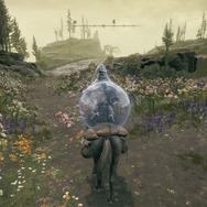 『ELDEN RING』DLCで「無限復活するツリーガード」の発見報告相次ぐ―とある手段を踏むことで再出現