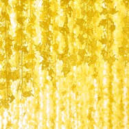 こんなポケモン見たことない！大盛況の「ポケモン×工芸展」ついに東京へ―特典付きの“スペシャルチケット”も案内