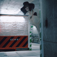 ドミトレスク夫人『バイオハザード』／ネトーチカ（X：@neti_jp）