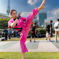 火引弾『ストリートファイター５』／わんたむ（X：@wantamu）